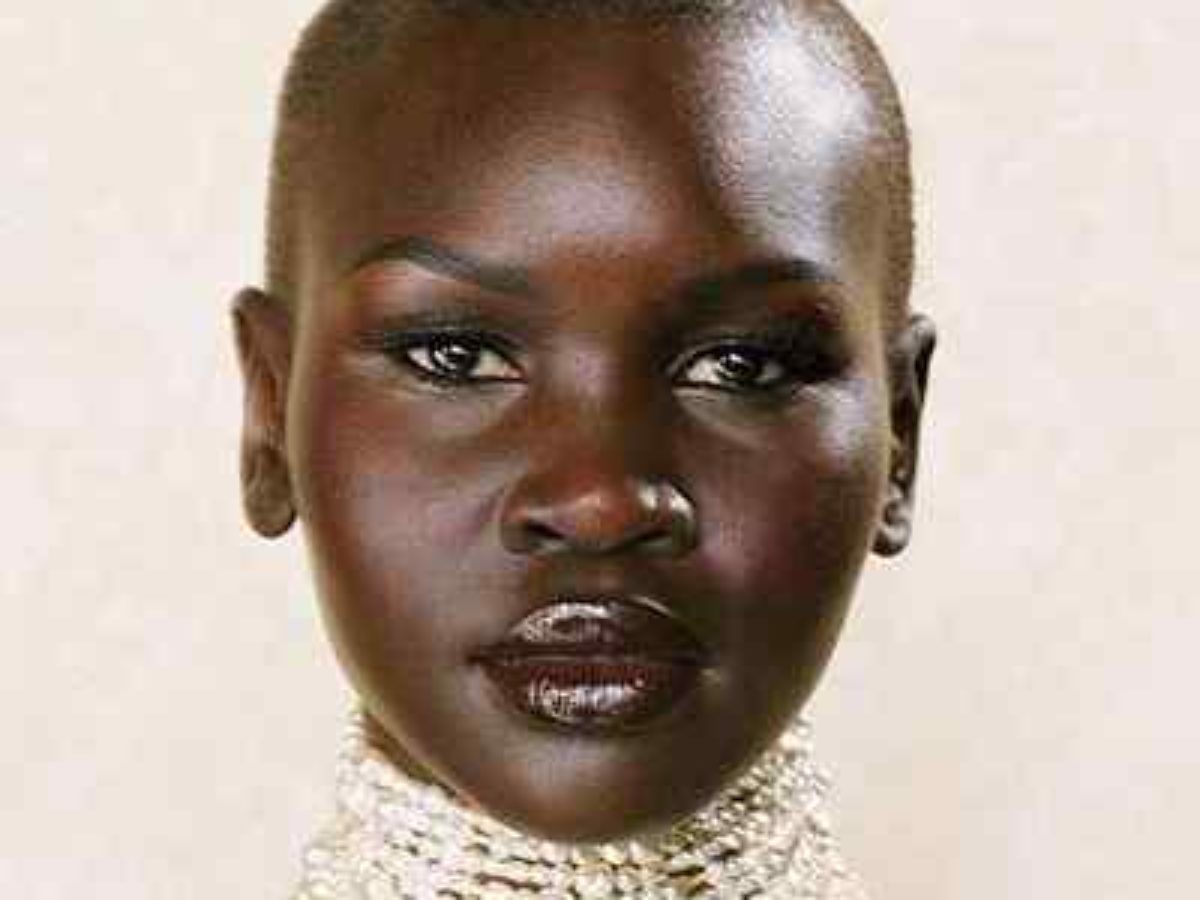 Alek Wek -【Biography】Age, Net Worth, Height, In Relation, Nationality