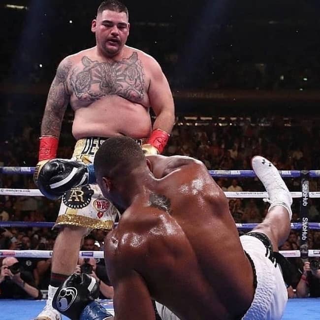 andy ruiz next fight ppv cost