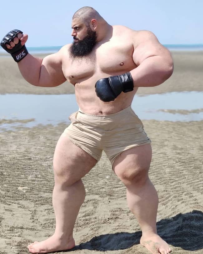 Iranian Hulk Weight And Height